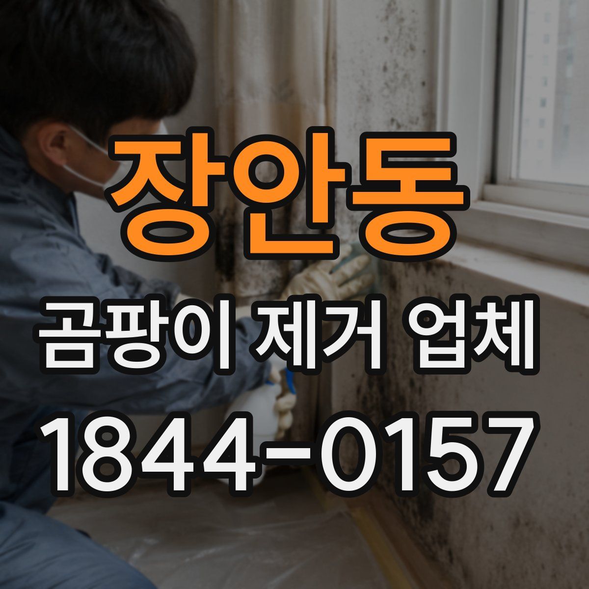 장안동 곰팡이 제거 업체