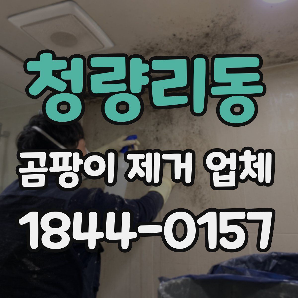 청량리동 곰팡이 제거 업체