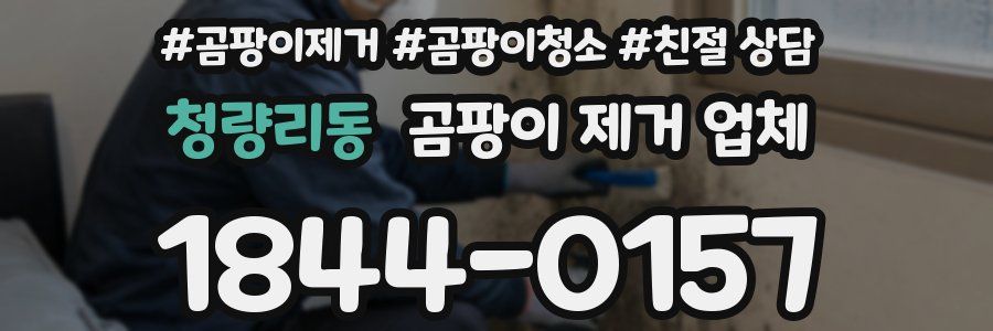 청량리동 곰팡이 제거 업체