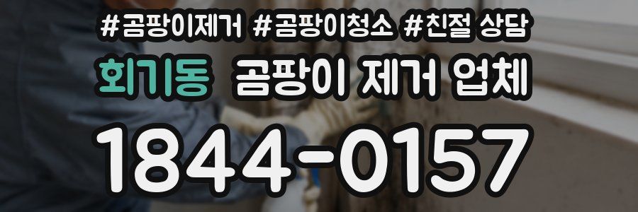 회기동 곰팡이 제거 업체