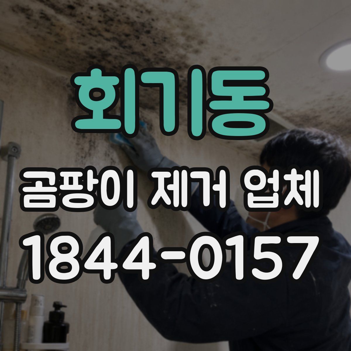 회기동 곰팡이 제거 업체
