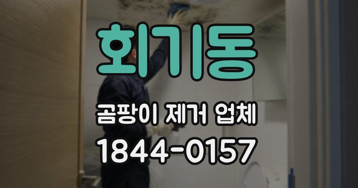 회기동 곰팡이 제거 업체