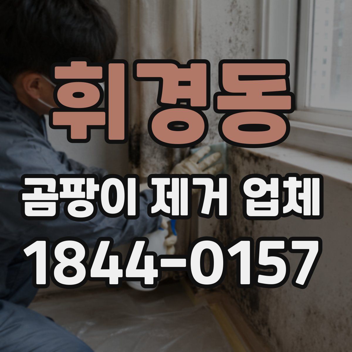 휘경동 곰팡이 제거 업체