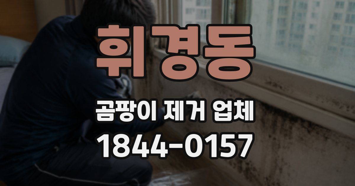 휘경동 곰팡이 제거 업체