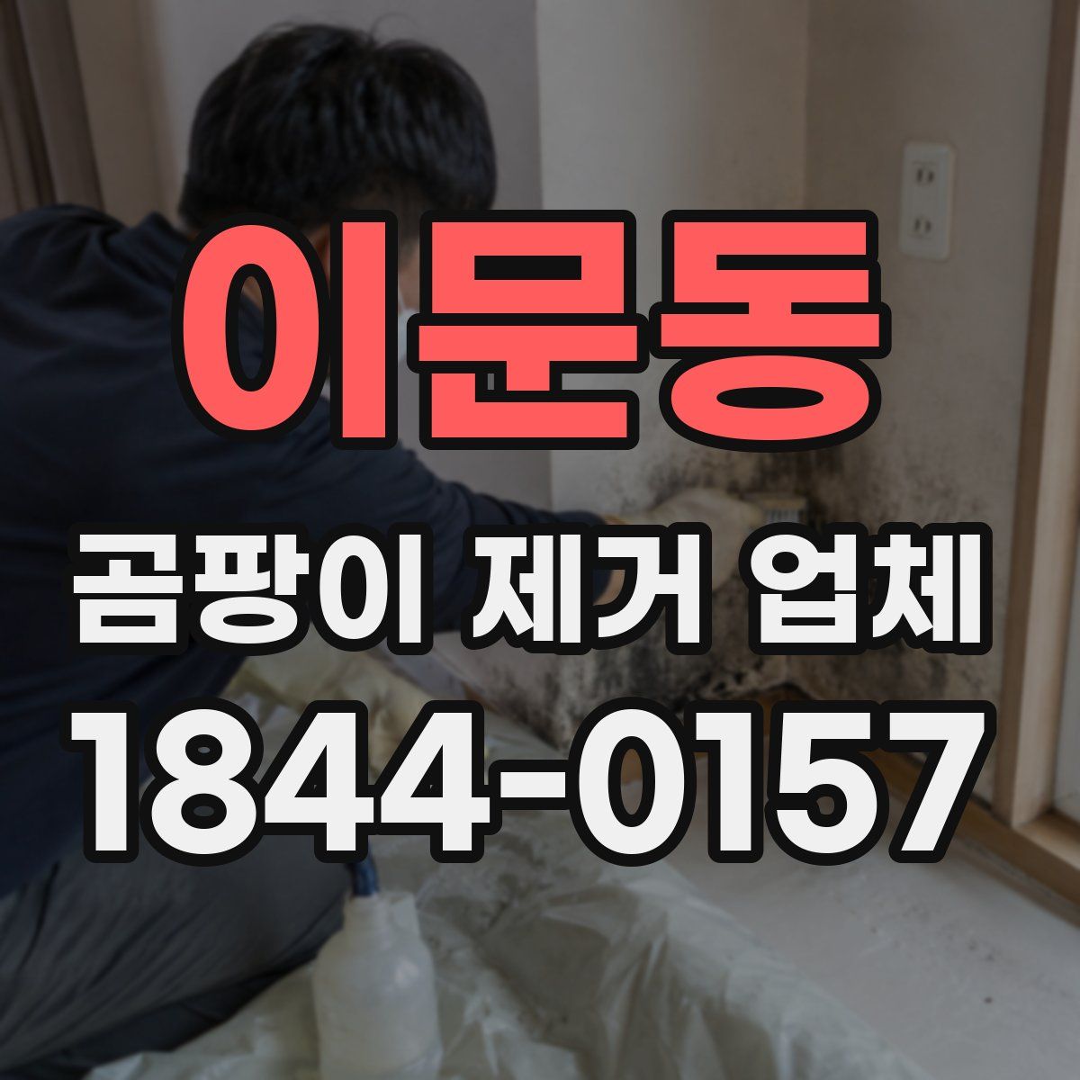 이문동 곰팡이 제거 업체