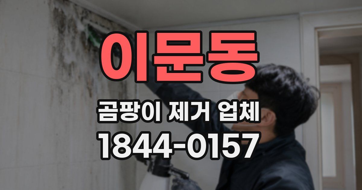 이문동 곰팡이 제거 업체