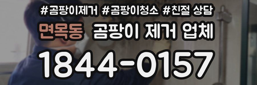 면목동 곰팡이 제거 업체