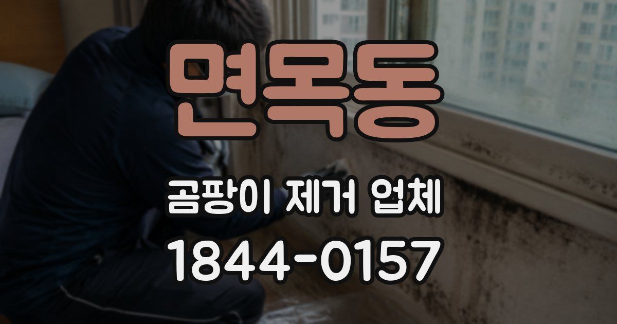 면목동 곰팡이 제거 업체