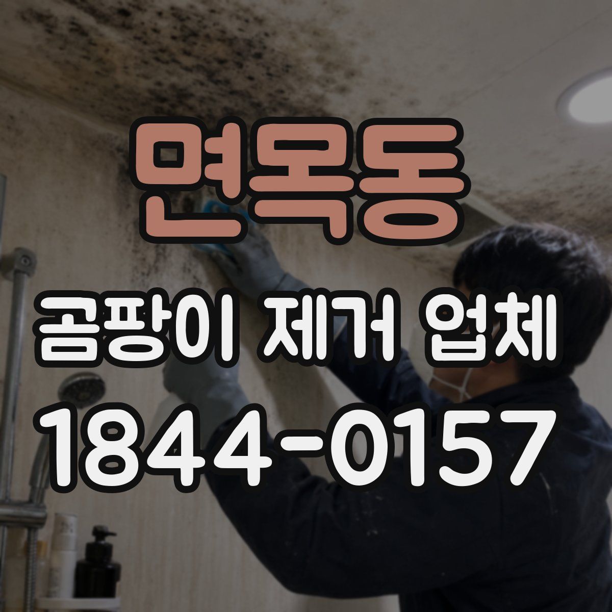 면목동 곰팡이 제거 업체
