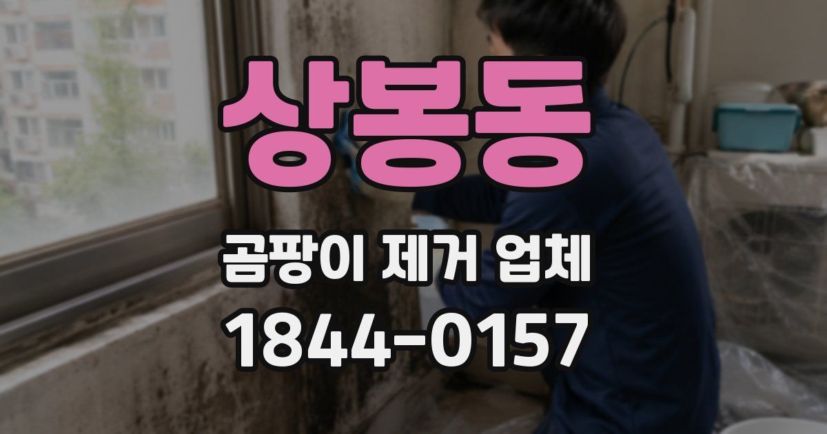 상봉동 곰팡이 제거 업체