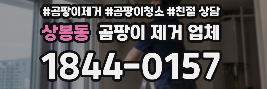 상봉동 곰팡이 제거 업체