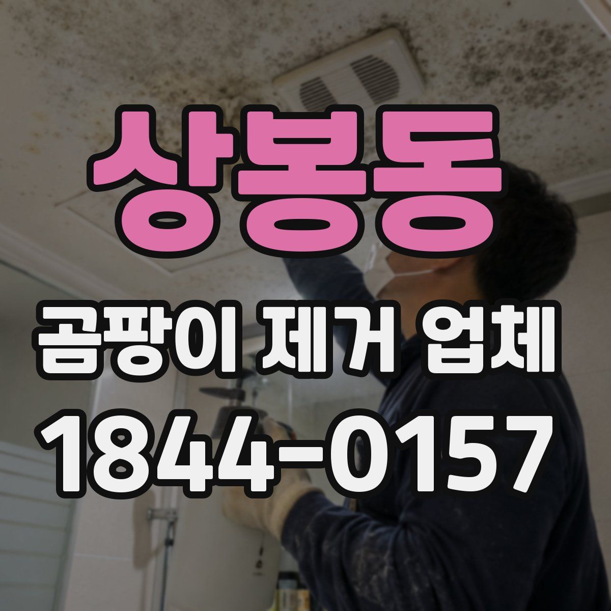 상봉동 곰팡이 제거 업체
