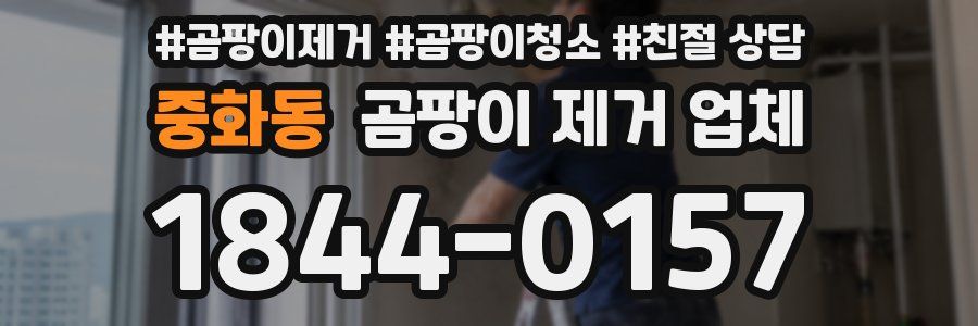 중화동 곰팡이 제거 업체