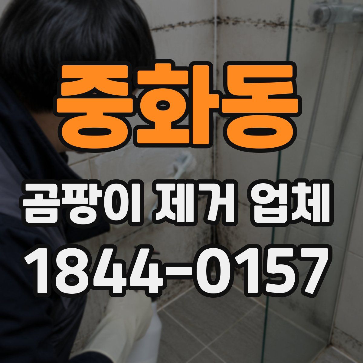 중화동 곰팡이 제거 업체
