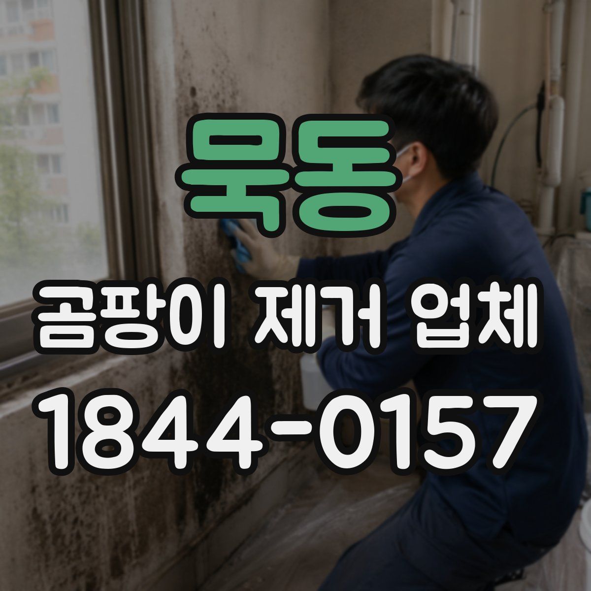 묵동 곰팡이 제거 업체