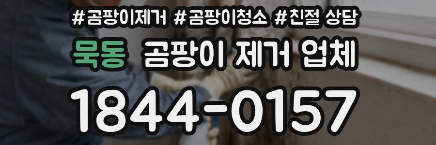 묵동 곰팡이 제거 업체