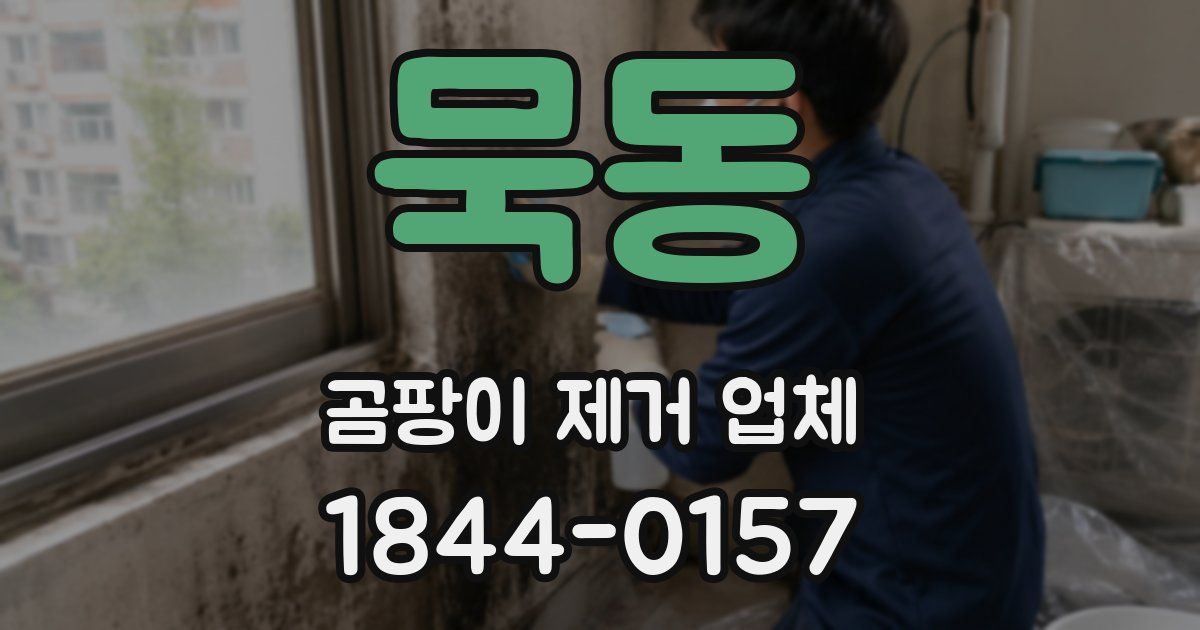 묵동 곰팡이 제거 업체