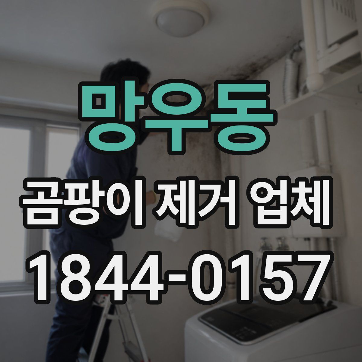 망우동 곰팡이 제거 업체