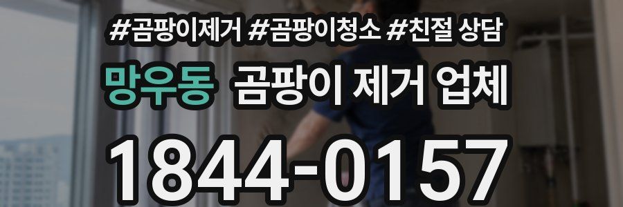 망우동 곰팡이 제거 업체
