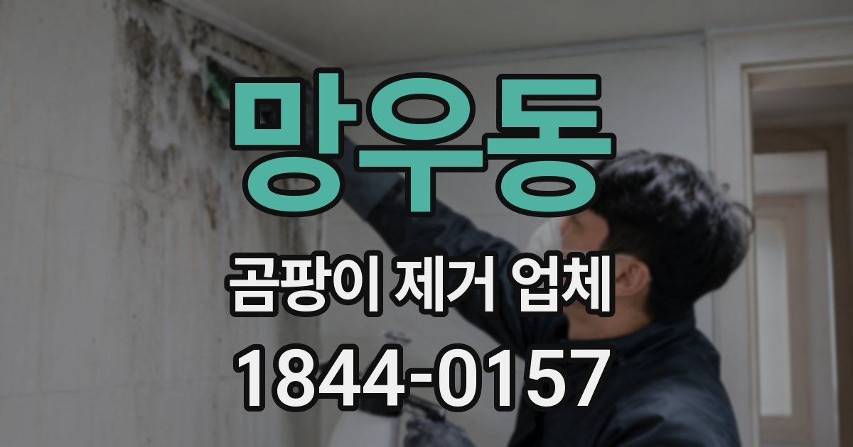 망우동 곰팡이 제거 업체