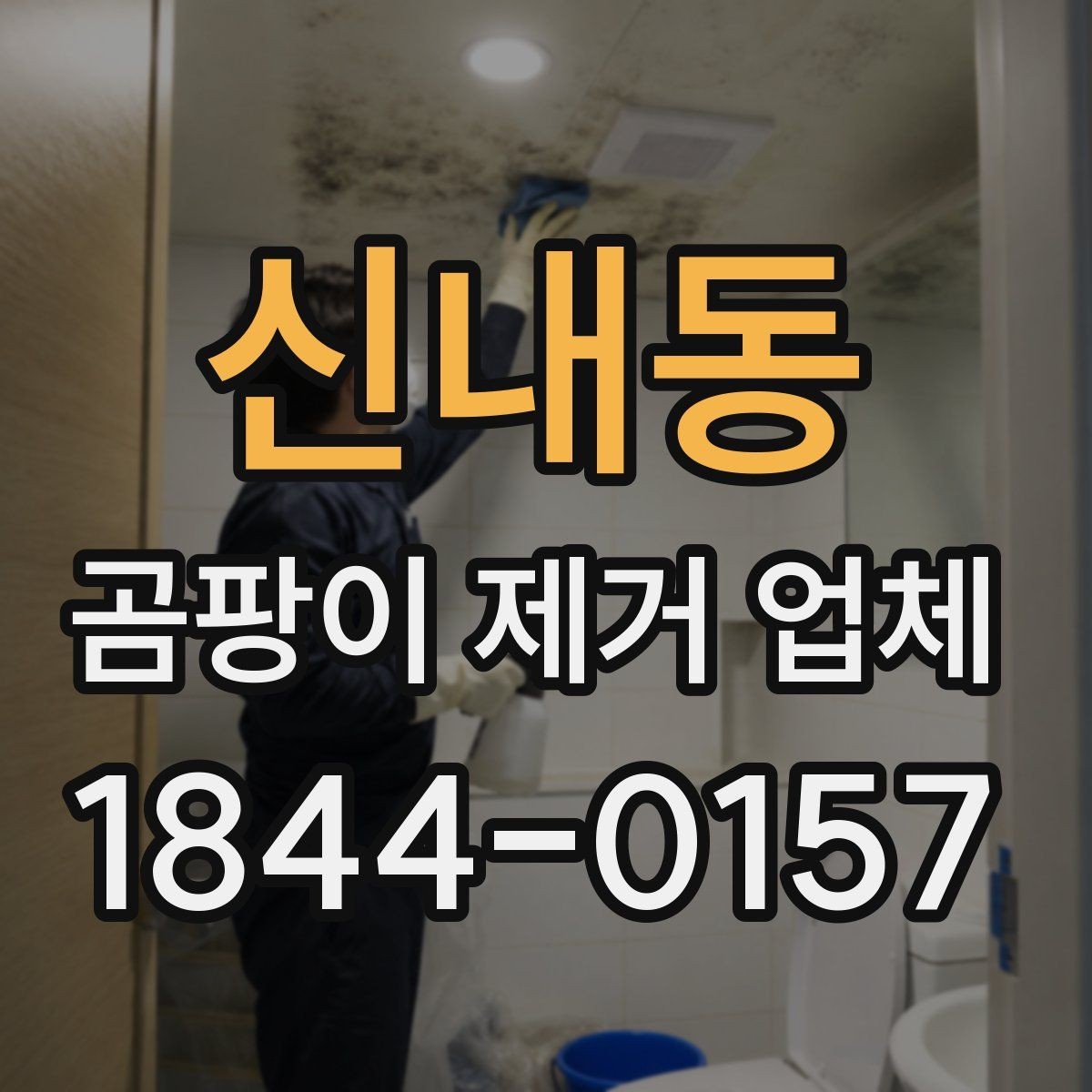 신내동 곰팡이 제거 업체 상담 시 예상 견적 확인하기