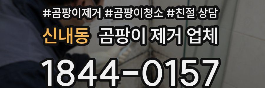 신내동 곰팡이 제거 업체