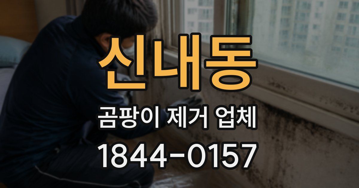 신내동 곰팡이 제거 업체