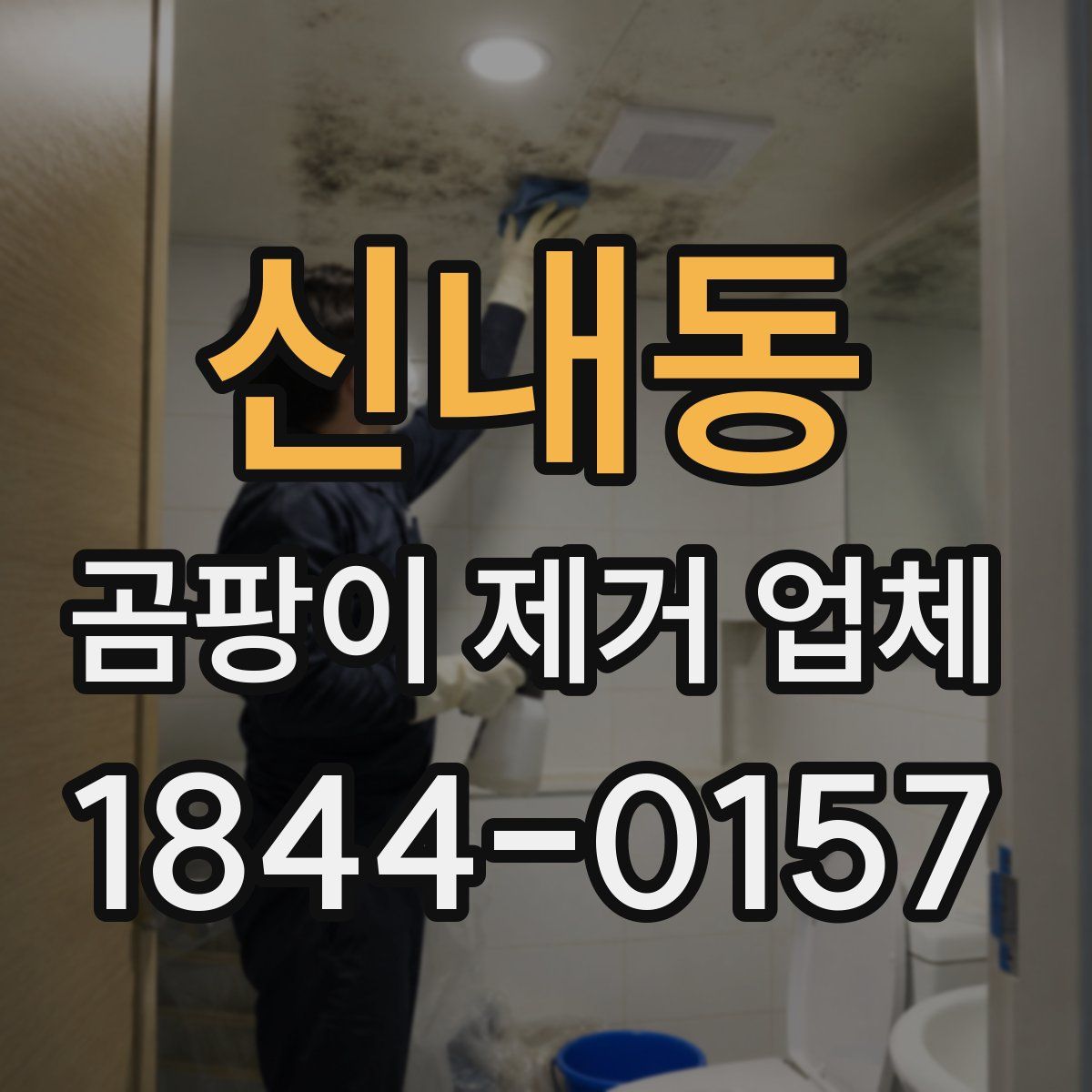 신내동 곰팡이 제거 업체