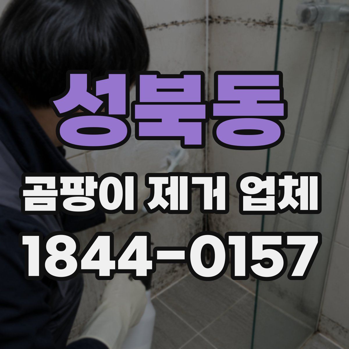 성북동 곰팡이 제거 업체