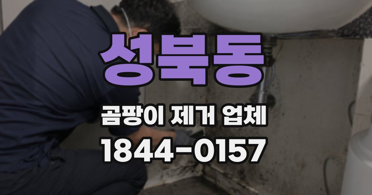 성북동 곰팡이 제거 업체