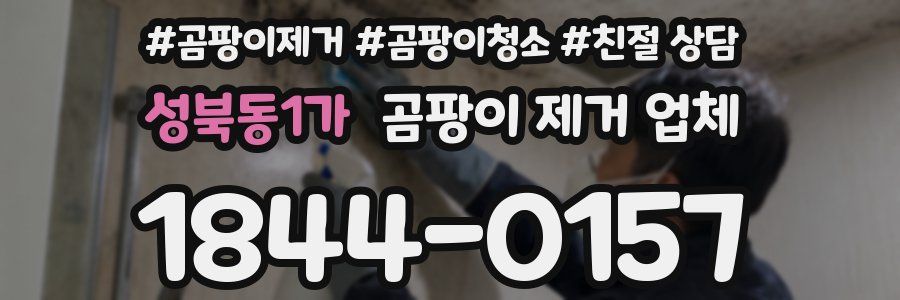 성북동1가 곰팡이 제거 업체