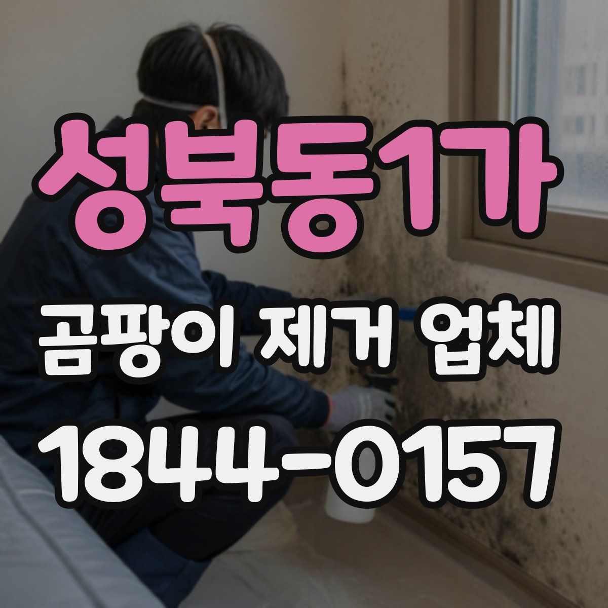 성북동1가 곰팡이 제거 업체