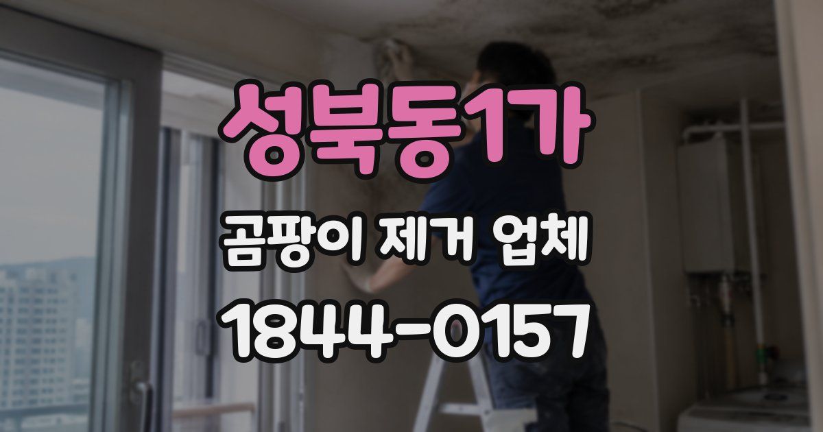 성북동1가 곰팡이 제거 업체