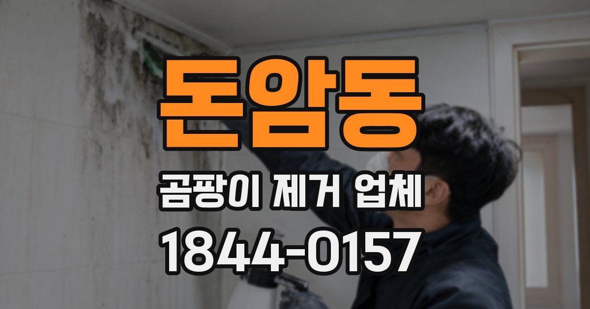 돈암동 곰팡이 제거 업체