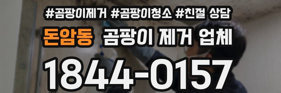 돈암동 곰팡이 제거 업체