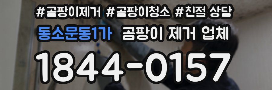동소문동1가 곰팡이 제거 업체