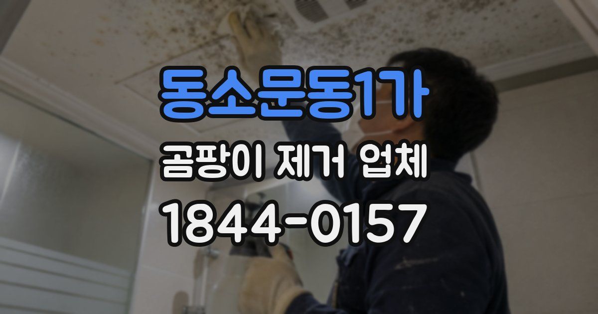 동소문동1가 곰팡이 제거 업체