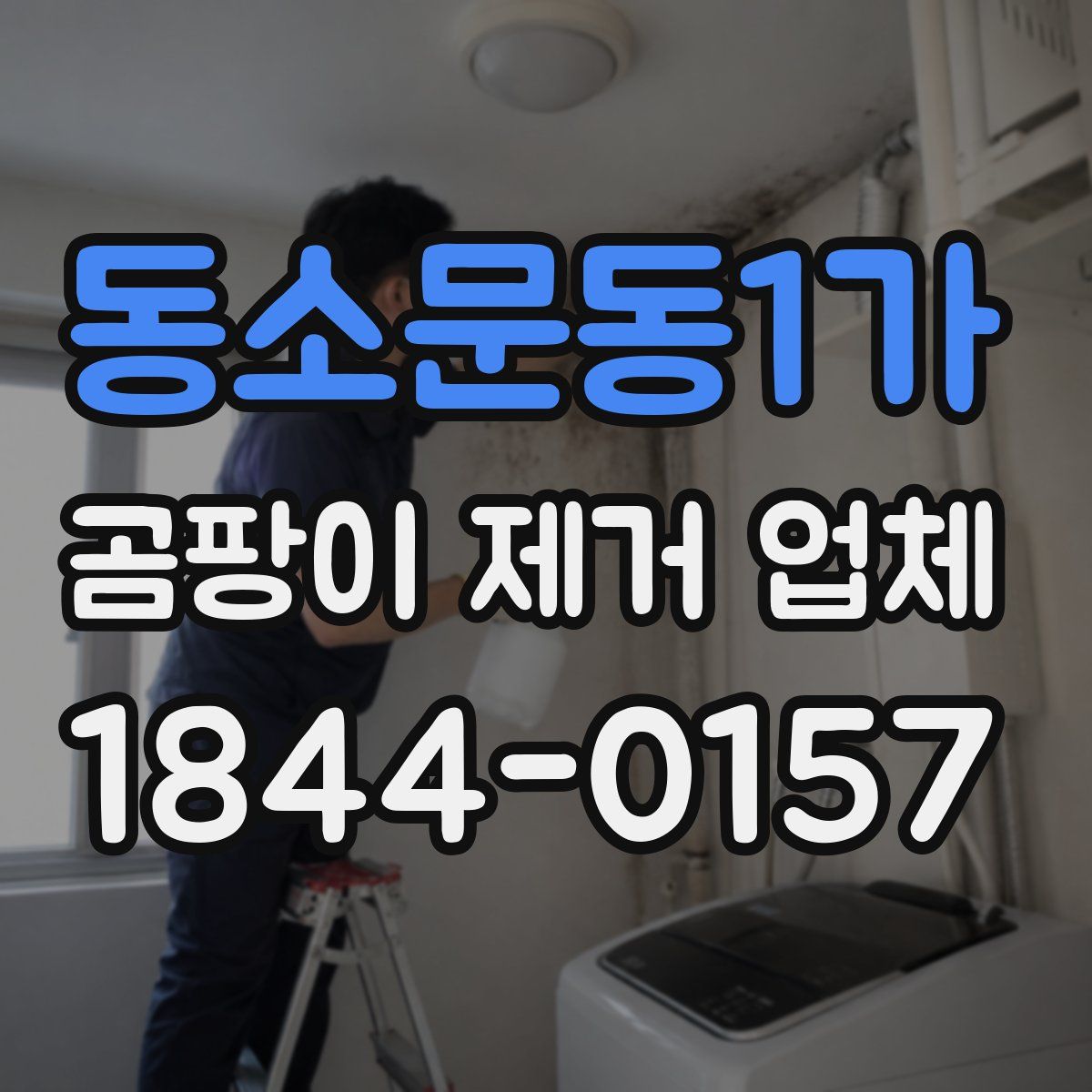 동소문동1가 곰팡이 제거 업체