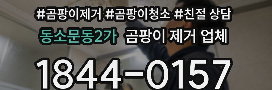 동소문동2가 곰팡이 제거 업체