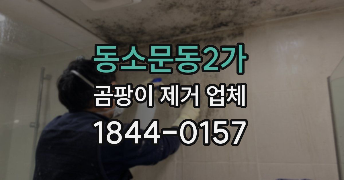 동소문동2가 곰팡이 제거 업체