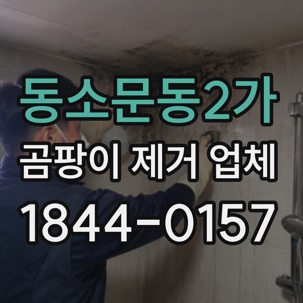 동소문동2가 곰팡이 제거 업체