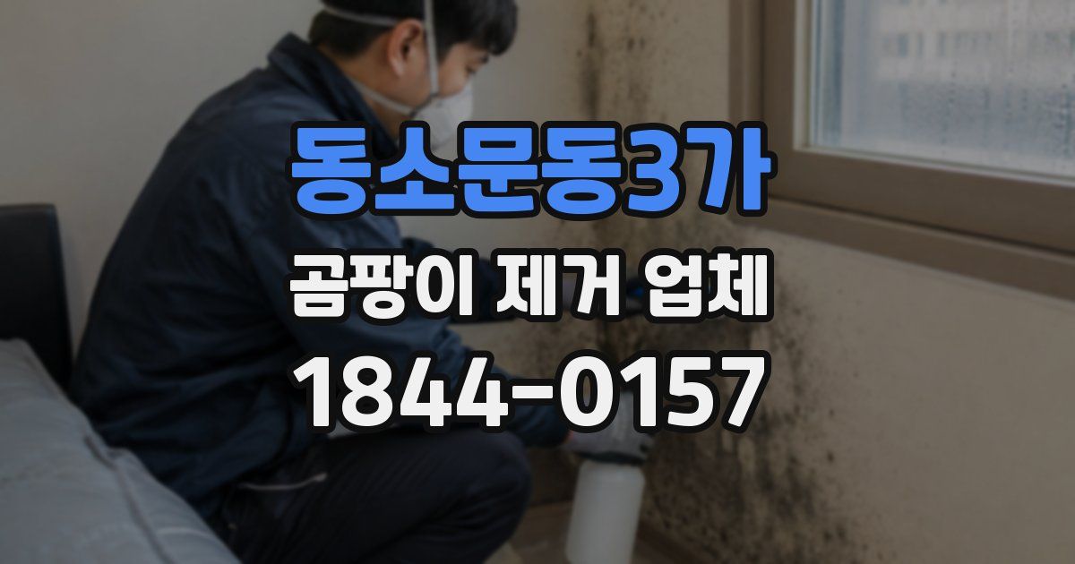동소문동3가 곰팡이 제거 업체