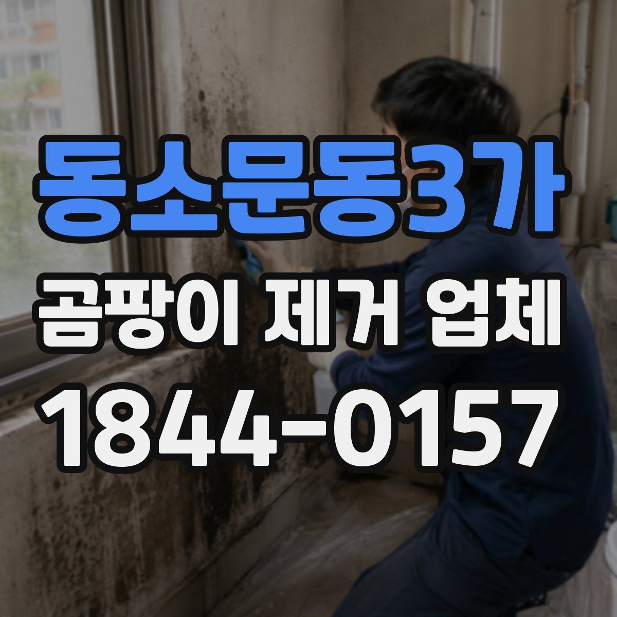 동소문동3가 곰팡이 제거 업체