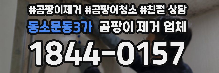 동소문동3가 곰팡이 제거 업체