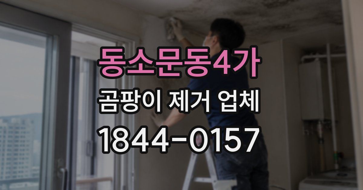 동소문동4가 곰팡이 제거 업체