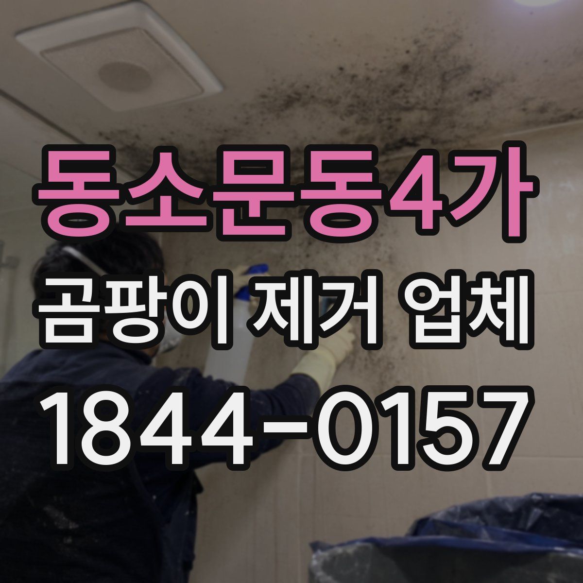 동소문동4가 곰팡이 제거 업체
