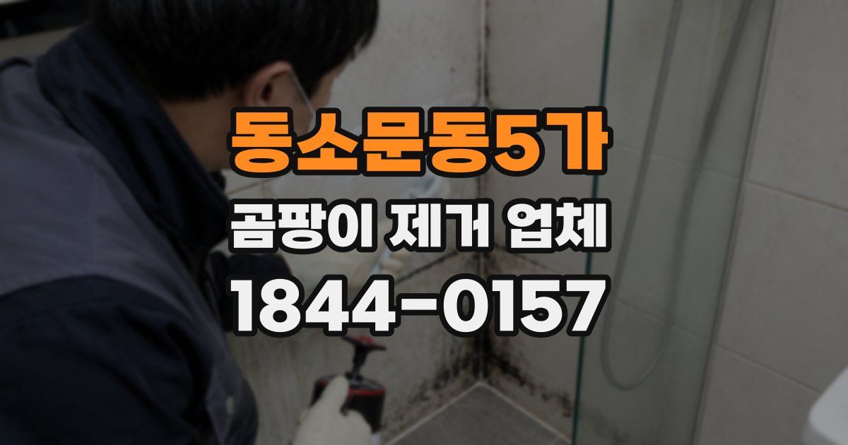 동소문동5가 곰팡이 제거 업체