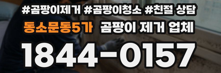 동소문동5가 곰팡이 제거 업체