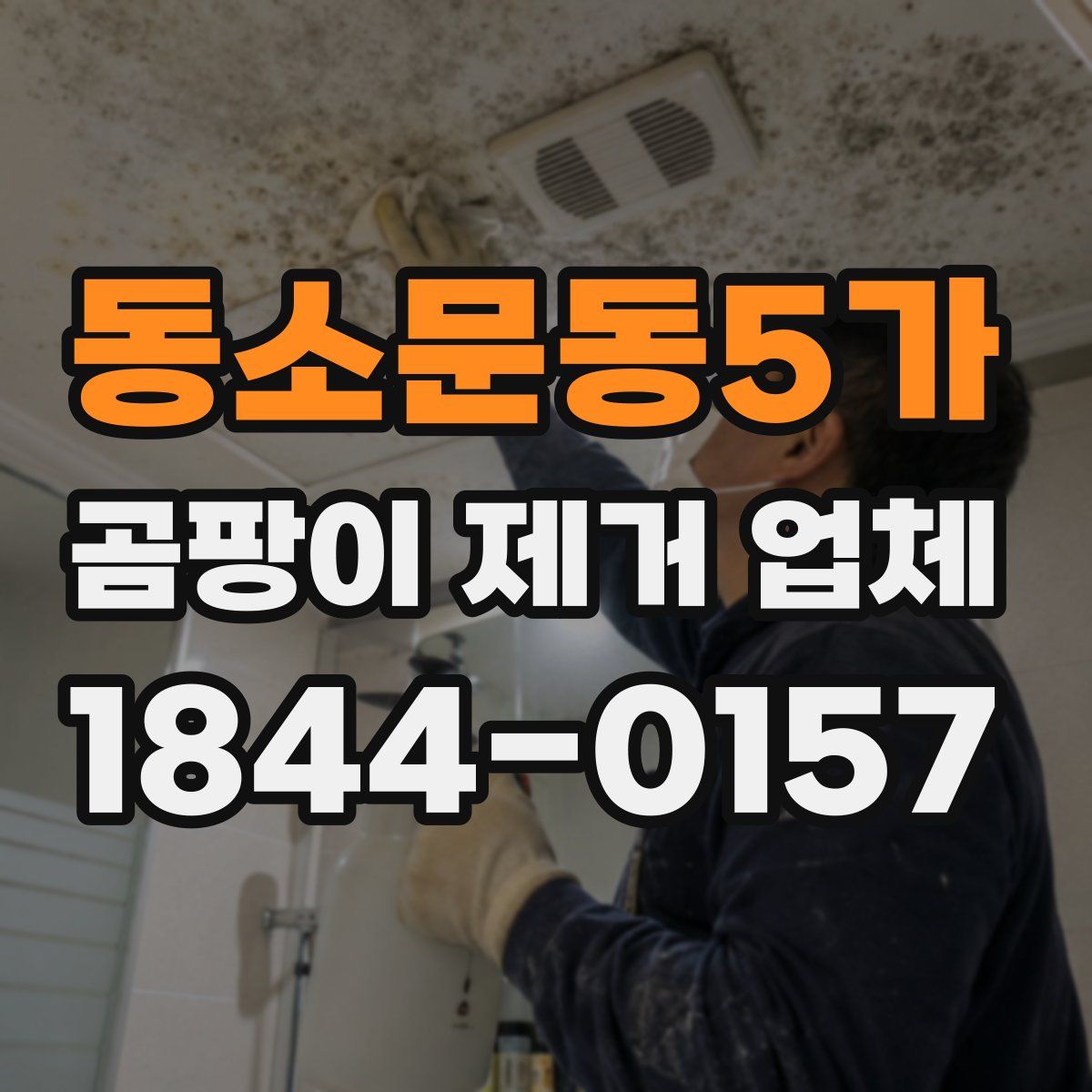 동소문동5가 곰팡이 제거 업체