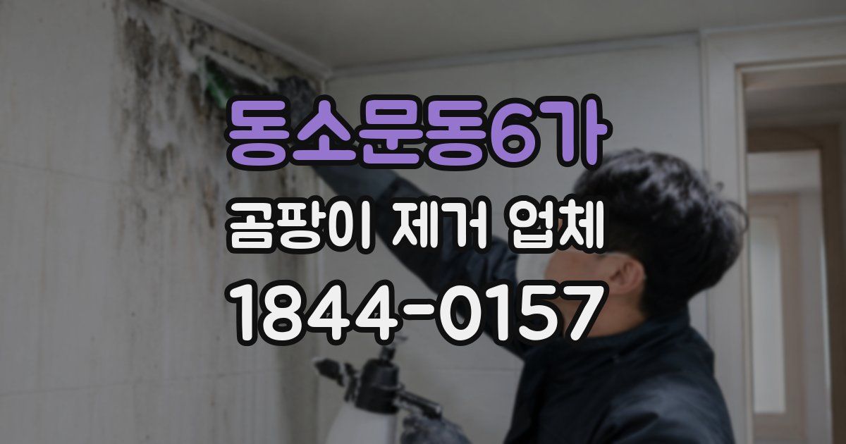 동소문동6가 곰팡이 제거 업체